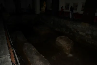 DSC_2652 (Large).JPG